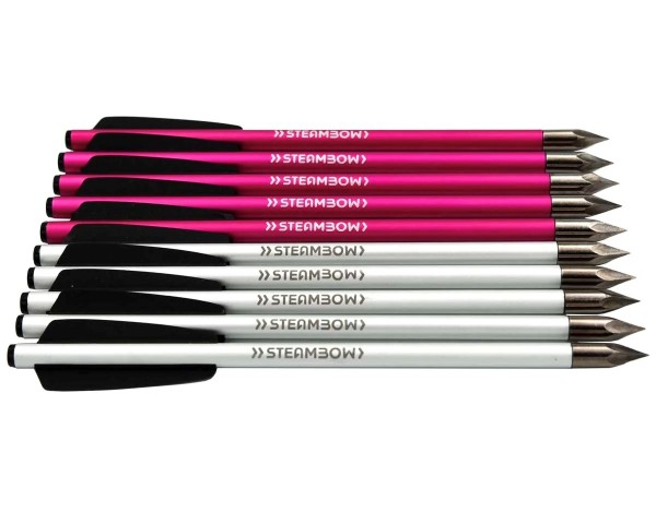AR-Series – Bodkinpfeile – Sport Edition 10 Stk. pink/weiß